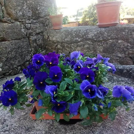 Casa Do Balcao * Alcains