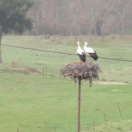 Landhuis Casa Do Balcao *